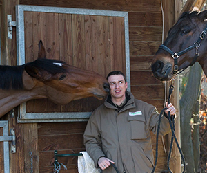 Conseil du Cheval Ile de France