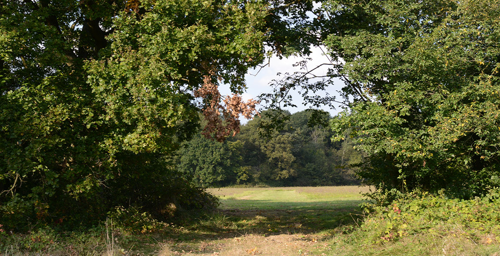 Forêt régionale de Saint-Eutrope - Île-de-France Nature