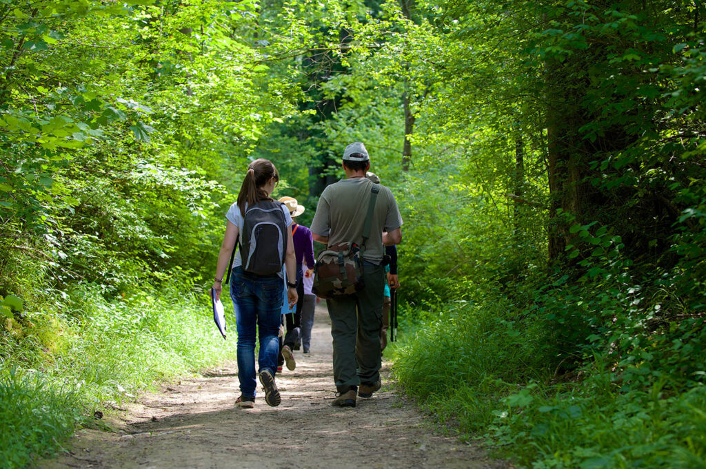 Des personnes en marche dans une forêt régionale d'Île-de-France